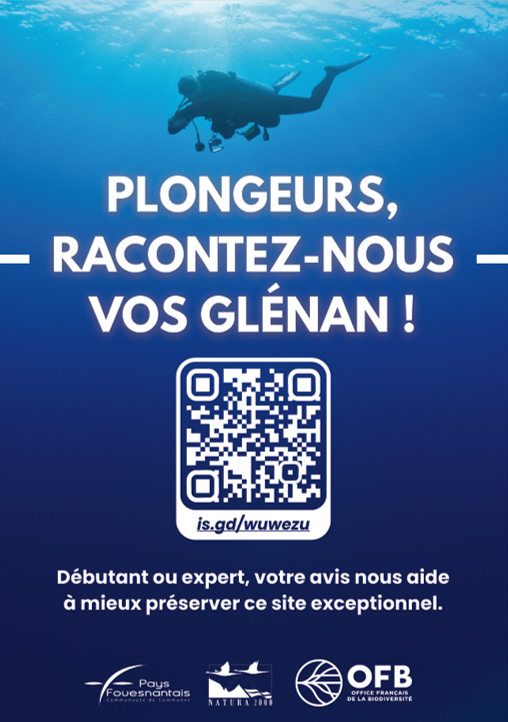 Plongeurs, racontez-nous vos Glénan!